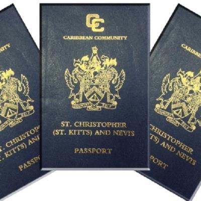 Citizenship Programs